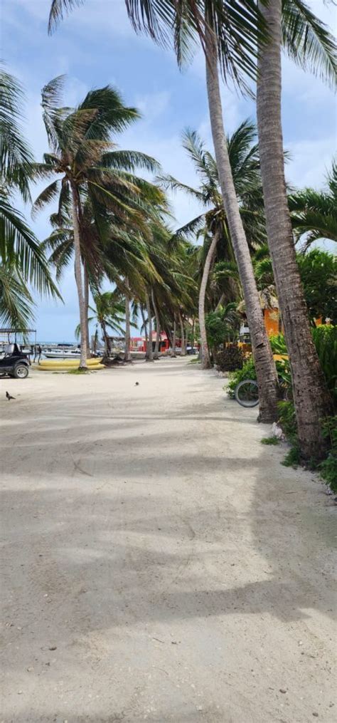 The 10 best hotels & places to stay in Caye Caulker, Belize.